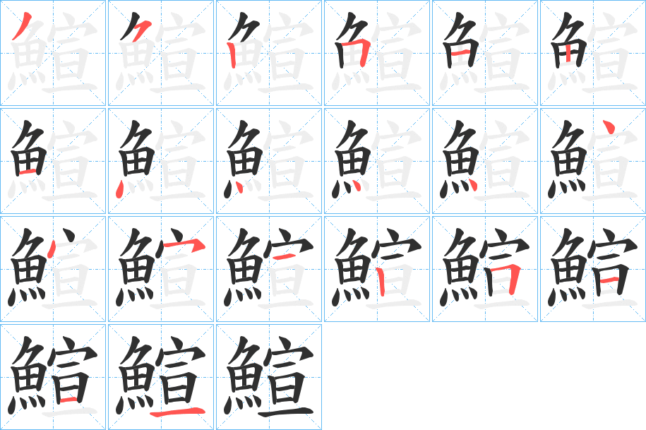 《鰚》的笔顺分步演示（一笔一画写字）