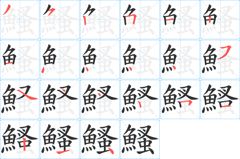 《鰠》的笔顺分步演示（一笔一画写字）