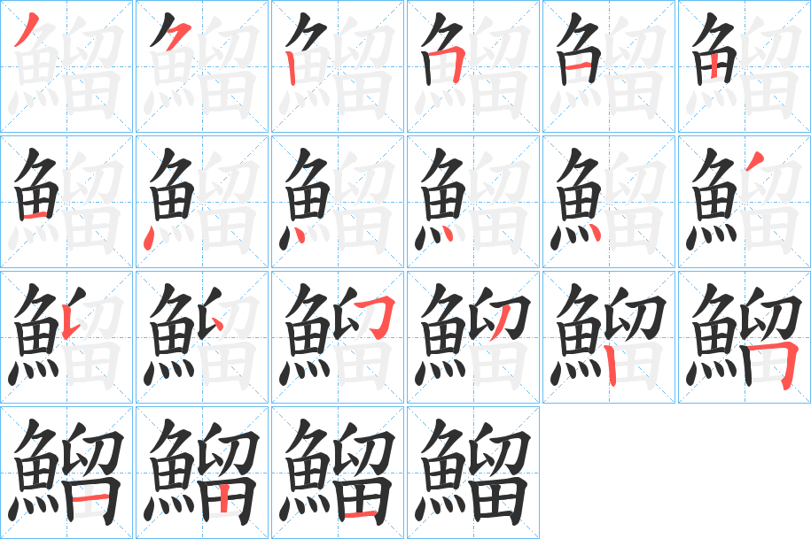 《鰡》的笔顺分步演示（一笔一画写字）