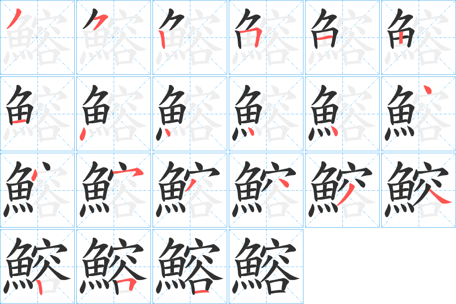 《鰫》的笔顺分步演示（一笔一画写字）