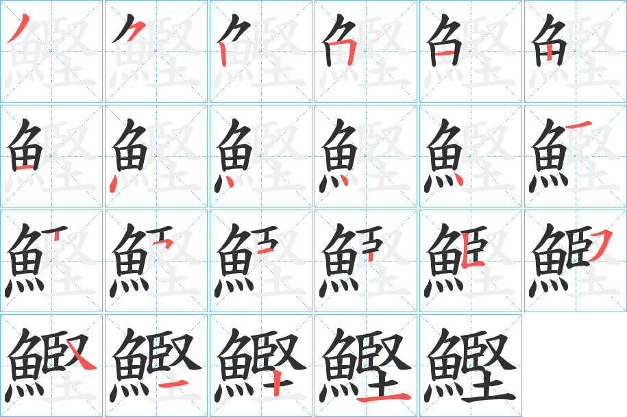 《鰹》的笔顺分步演示（一笔一画写字）