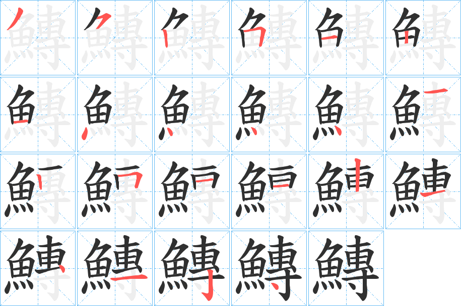 《鱄》的笔顺分步演示（一笔一画写字）