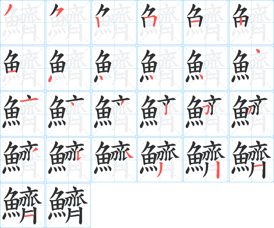 《鱭》的笔顺分步演示（一笔一画写字）