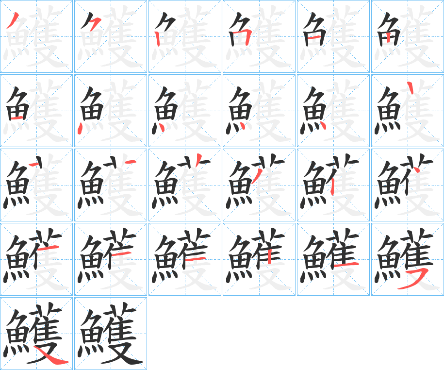 《鱯》的笔顺分步演示（一笔一画写字）