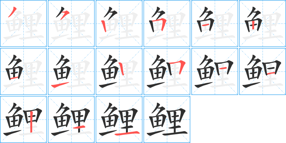 《鲤》的笔顺分步演示（一笔一画写字）