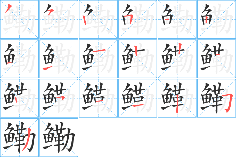 《鳓》的笔顺分步演示（一笔一画写字）