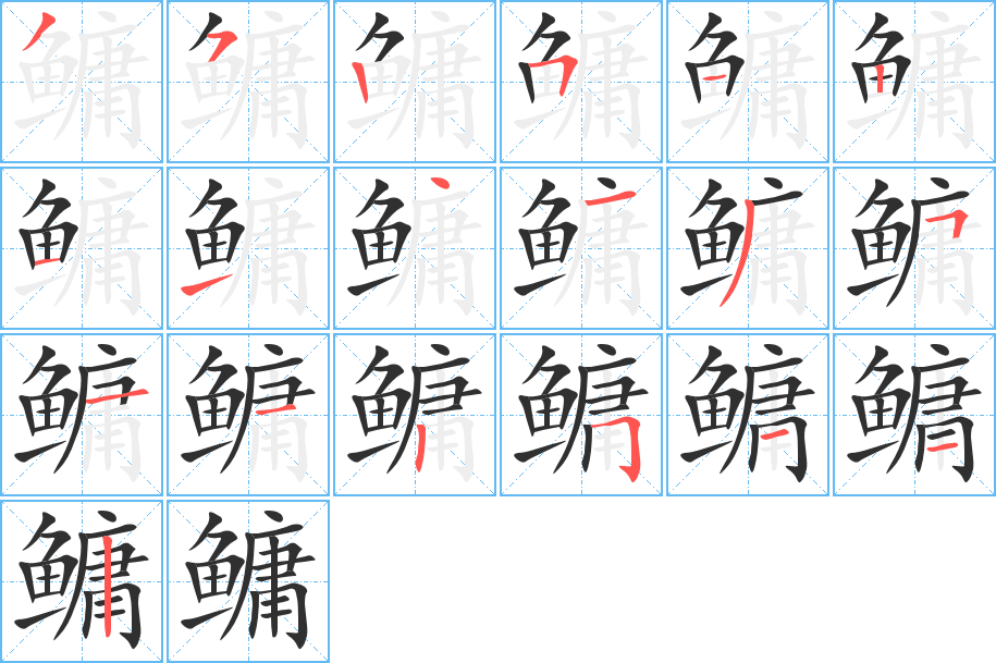 《鳙》的笔顺分步演示（一笔一画写字）