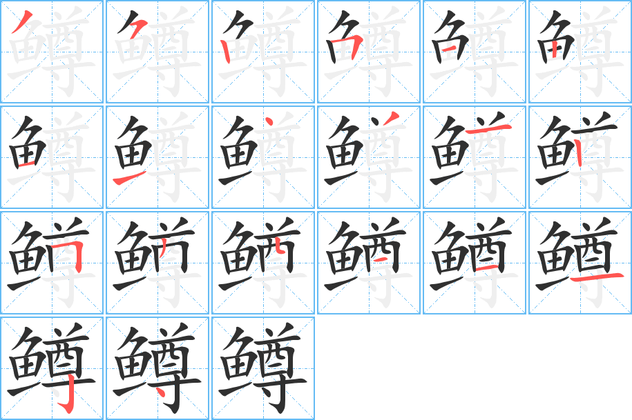 《鳟》的笔顺分步演示（一笔一画写字）