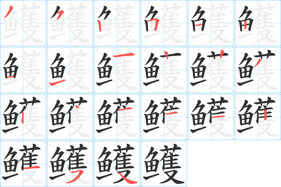 《鳠》的笔顺分步演示（一笔一画写字）