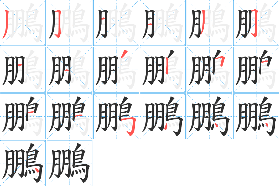 《鵬》的笔顺分步演示（一笔一画写字）