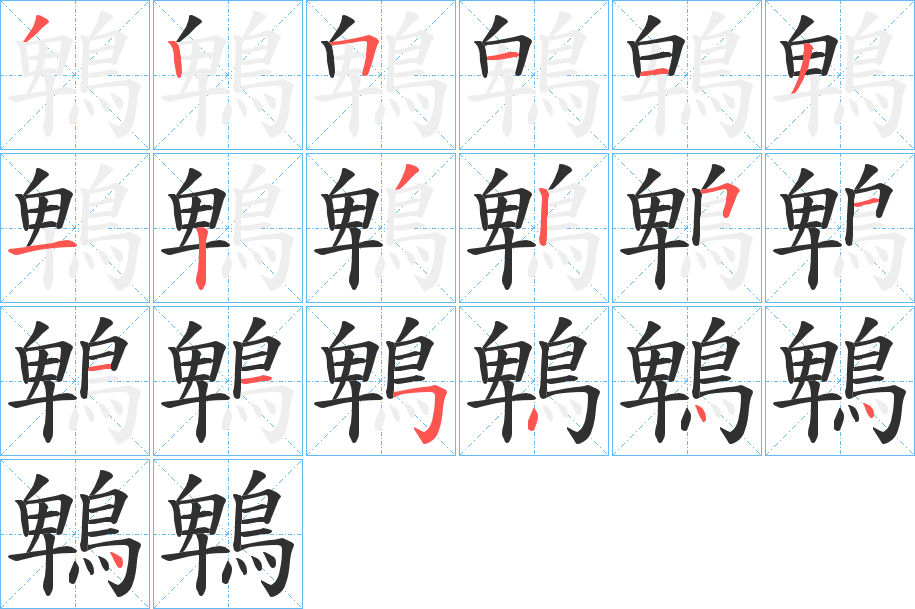 《鵯》的笔顺分步演示（一笔一画写字）