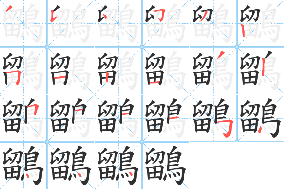 《鶹》的笔顺分步演示（一笔一画写字）