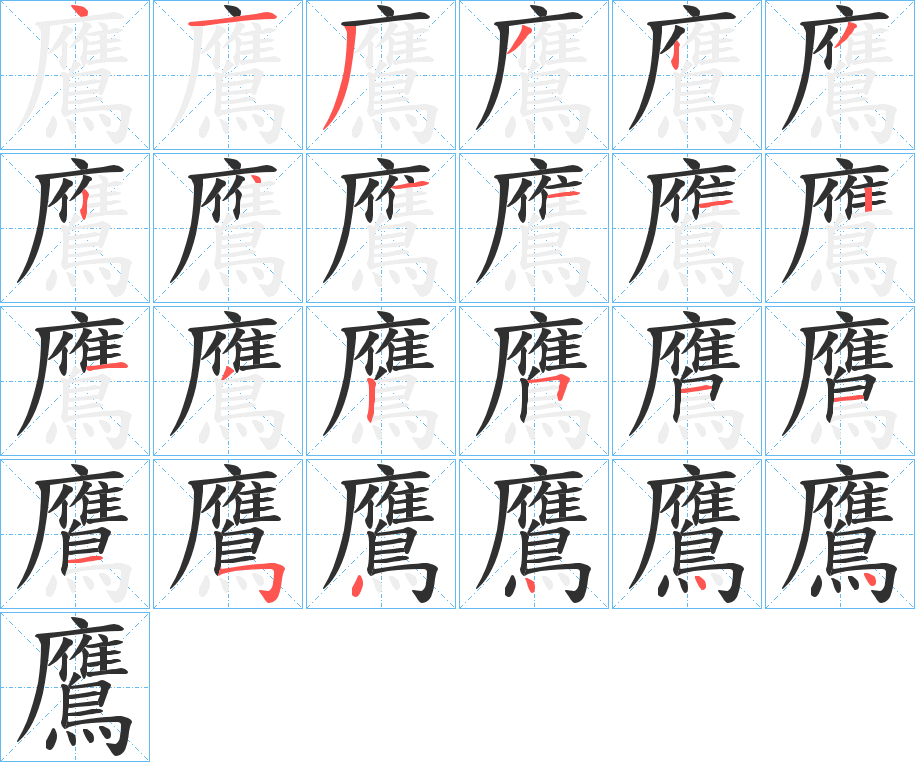 《鷹》的笔顺分步演示（一笔一画写字）
