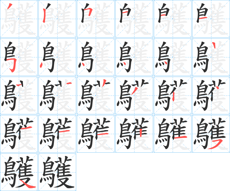 《鸌》的笔顺分步演示（一笔一画写字）