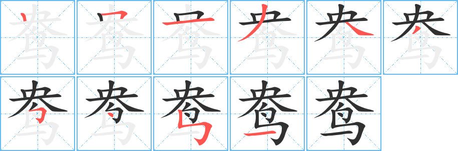 《鸯》的笔顺分步演示（一笔一画写字）