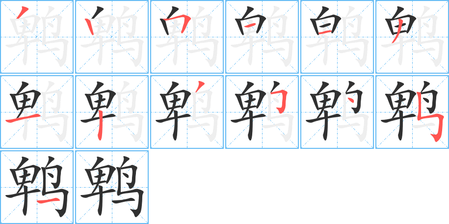 《鹎》的笔顺分步演示（一笔一画写字）