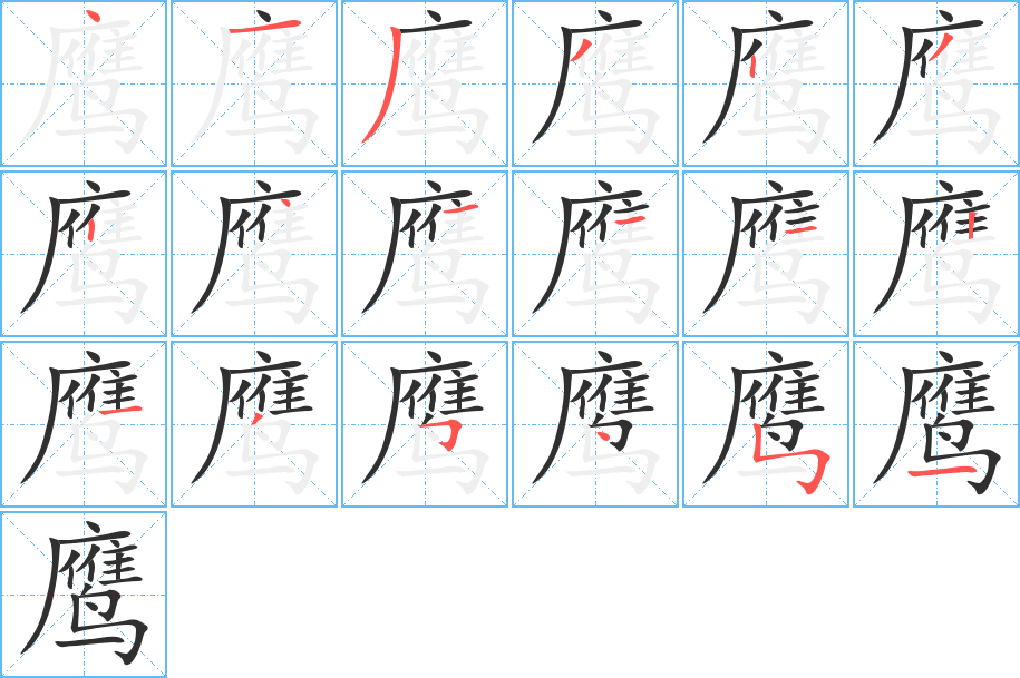 《鹰》的笔顺分步演示（一笔一画写字）